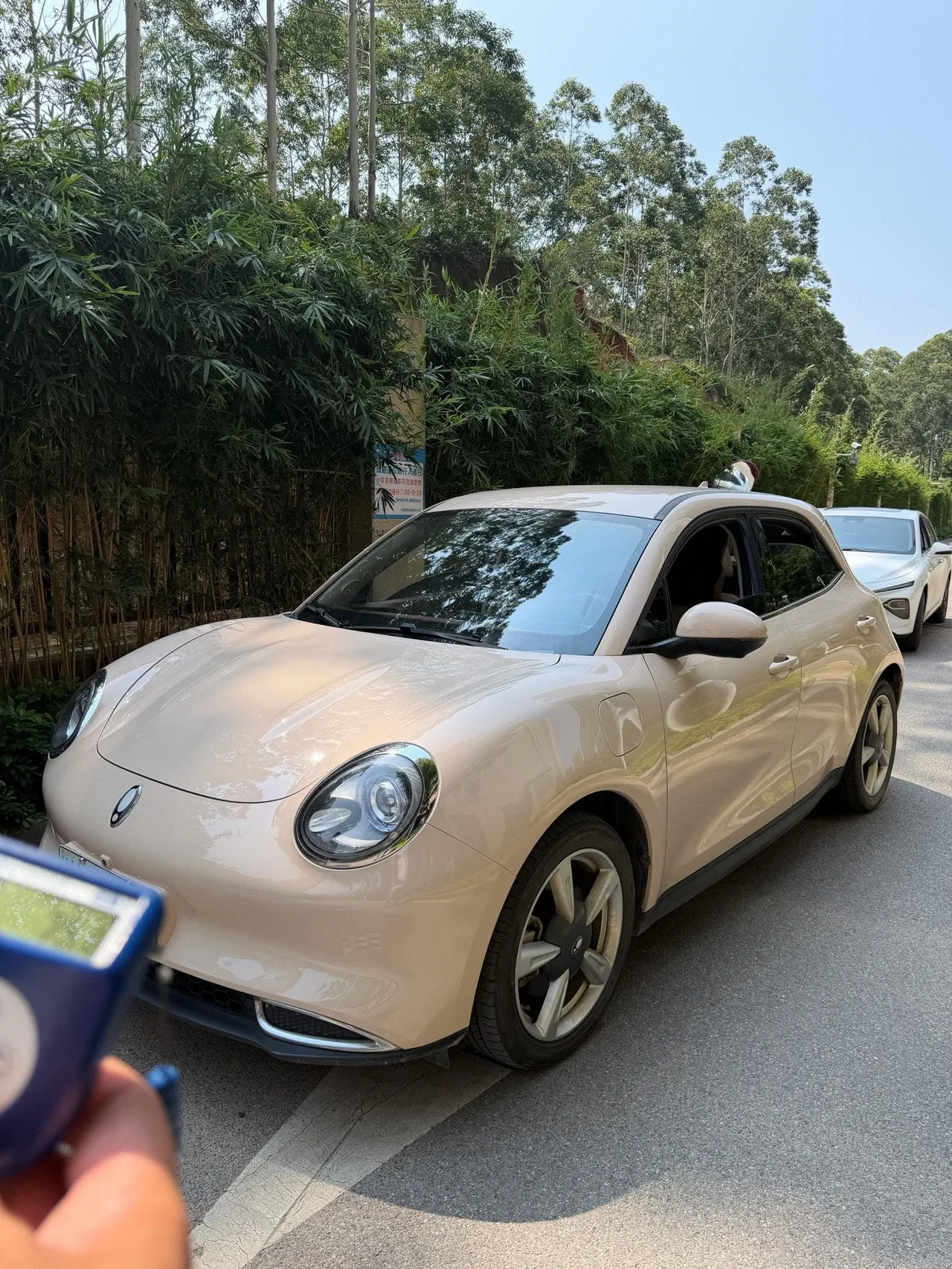 Open image lightbox: Ora 2023 Good Cat 401km Standard Endurance Luxury Lithium Iron Phosphate Automatic Gear