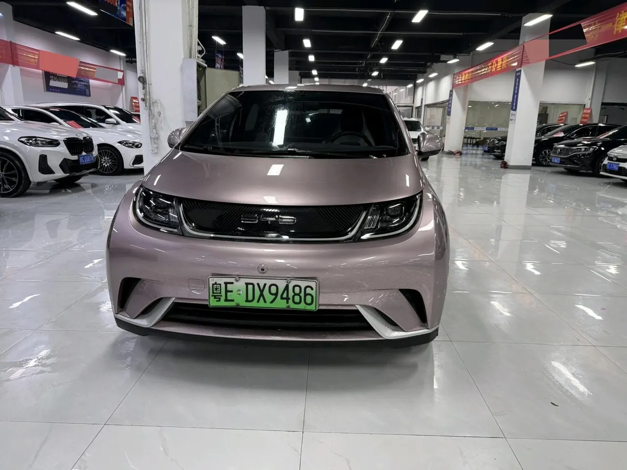 BYD 2021 Dolphins 405km Free Edition Automatic 2