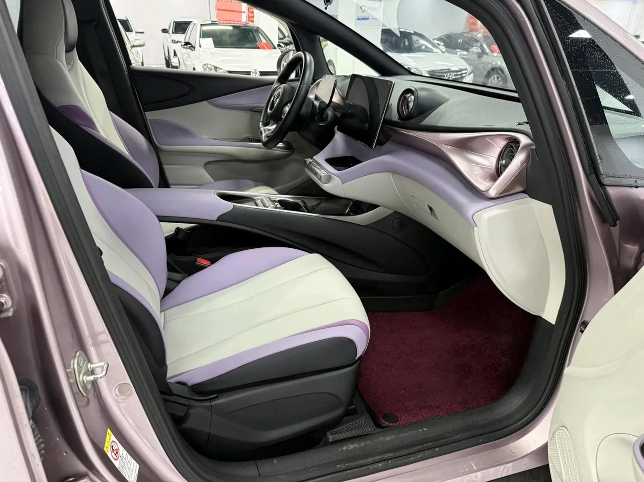 BYD 2021 Dolphins 405km Free Edition Automatic 3