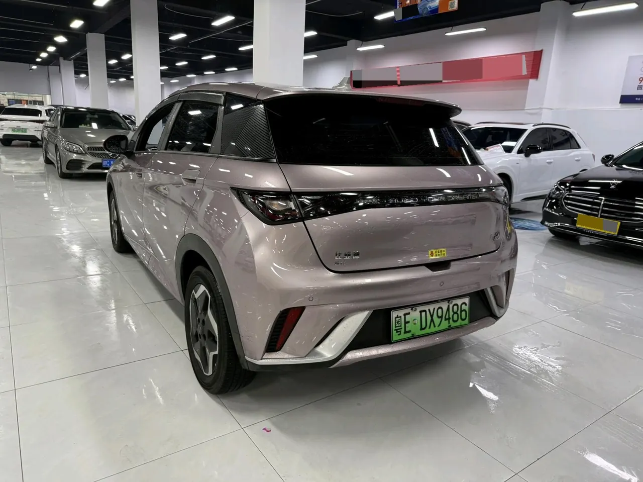 BYD 2021 Dolphins 405km Free Edition Automatic 6