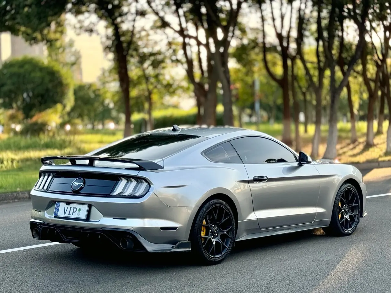 Ford Yema (Imported) 2020 Yema S 2.3T EcoBoost Automatic 9