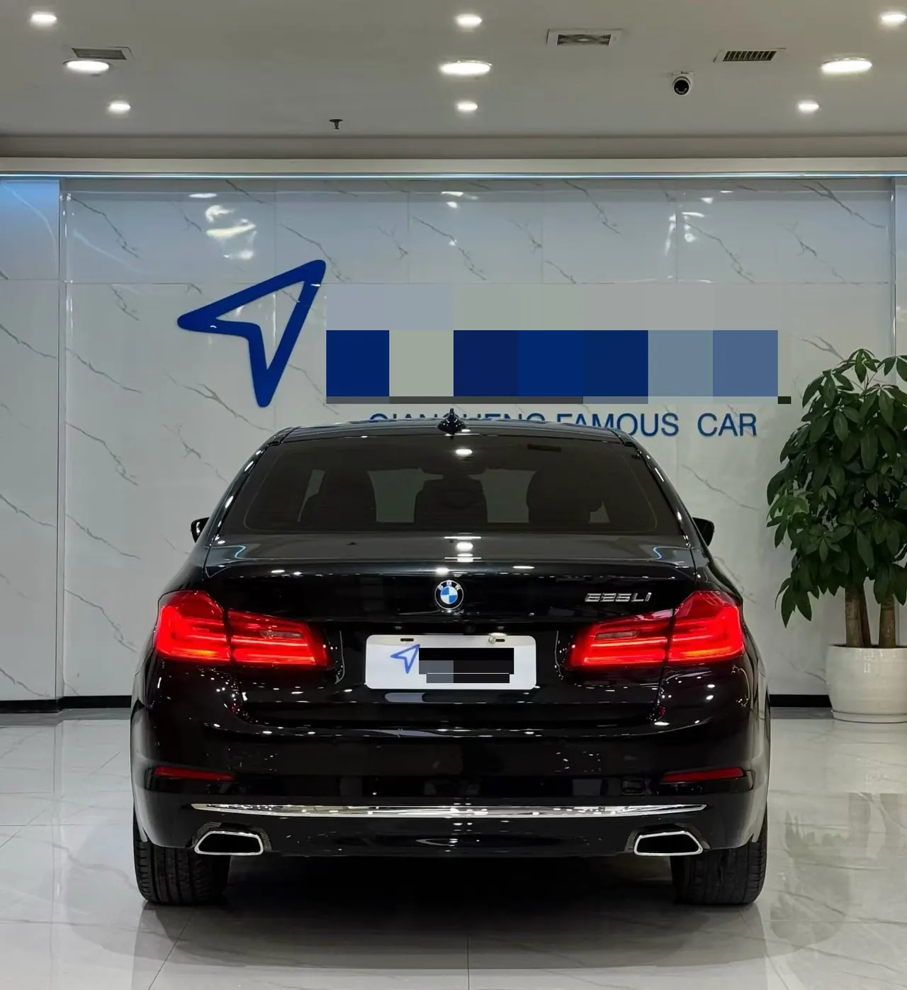 BMW 5 Series 2020 525Li 2.0T Luxury Suit Automatic Gear 8