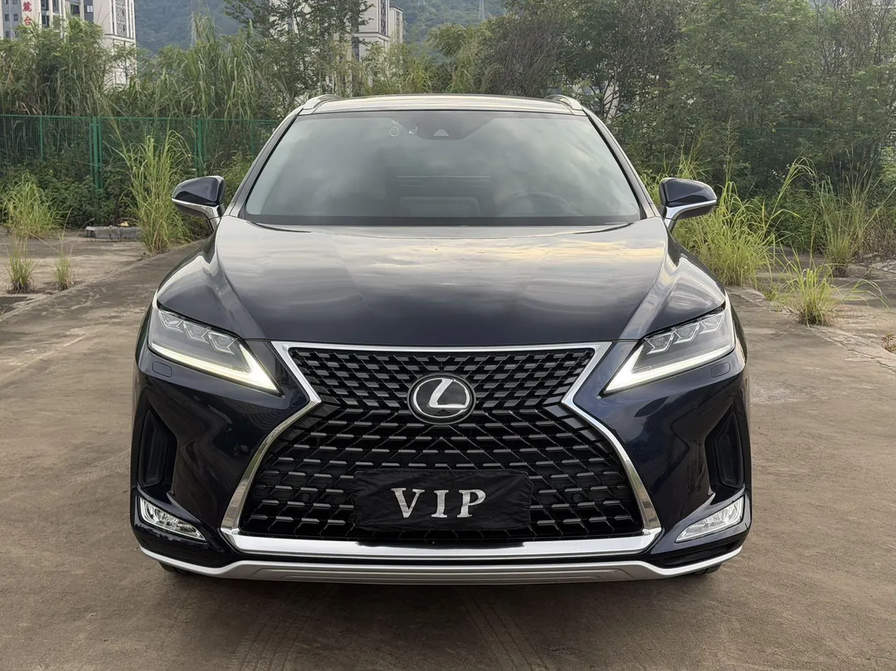 Lexus RX (Imported) 2020 RX300 2.0T Four-wheel Drive Elegant Edition (Modified) Automatic Gear 2