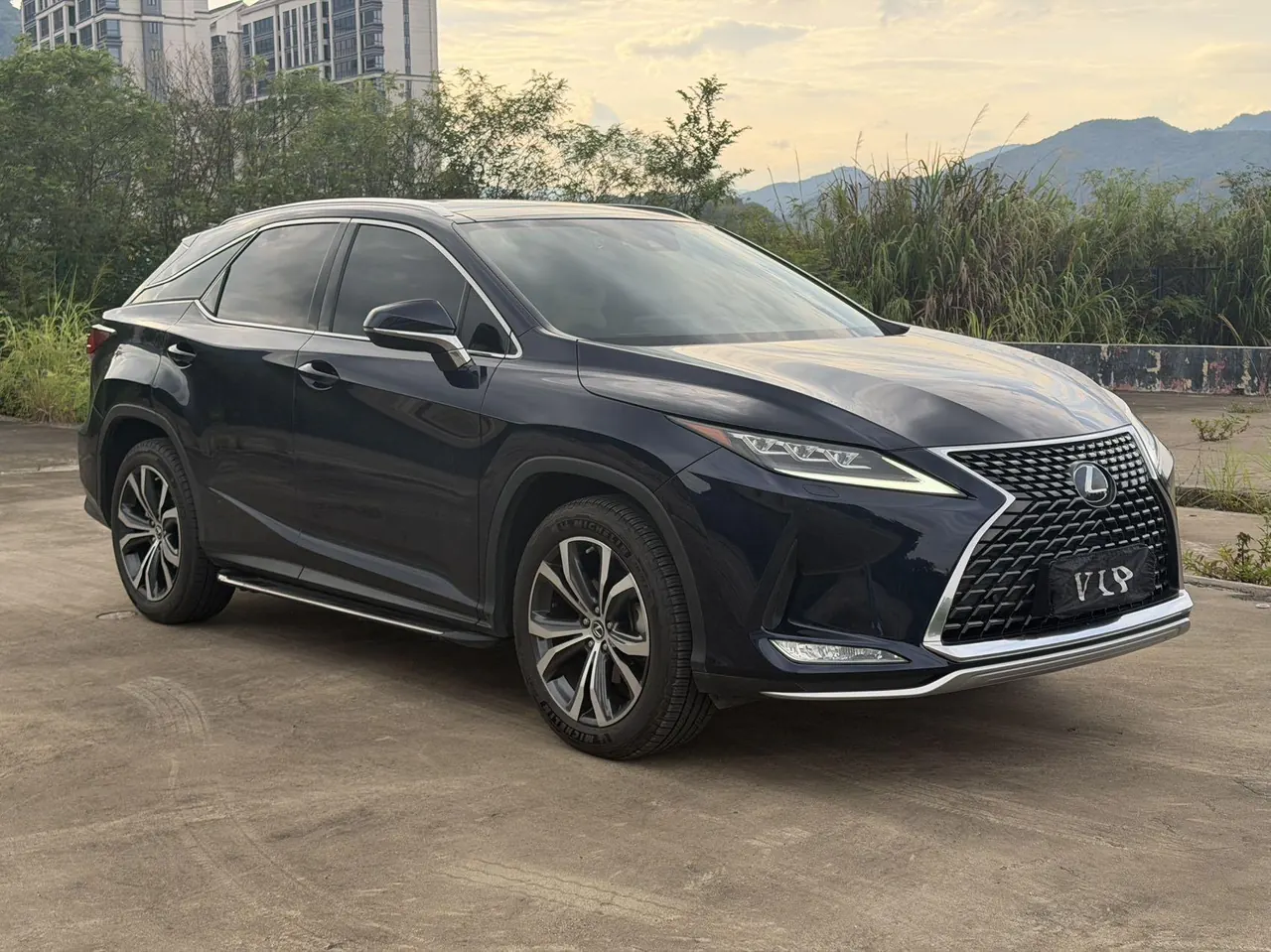 Lexus RX (Imported) 2020 RX300 2.0T Four-wheel Drive Elegant Edition (Modified) Automatic Gear 3