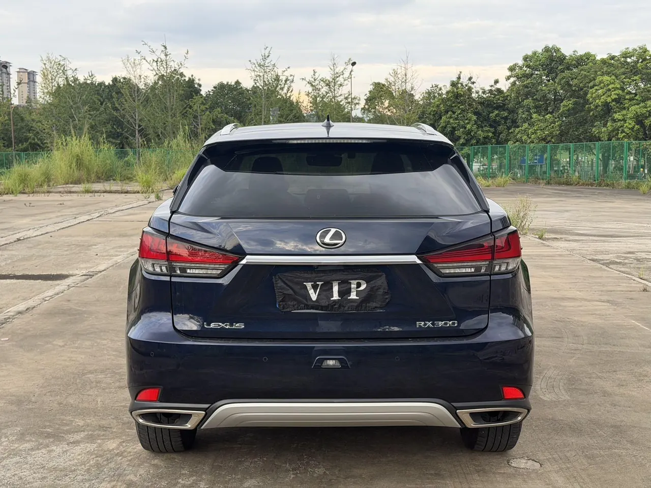 Lexus RX (Imported) 2020 RX300 2.0T Four-wheel Drive Elegant Edition (Modified) Automatic Gear 8