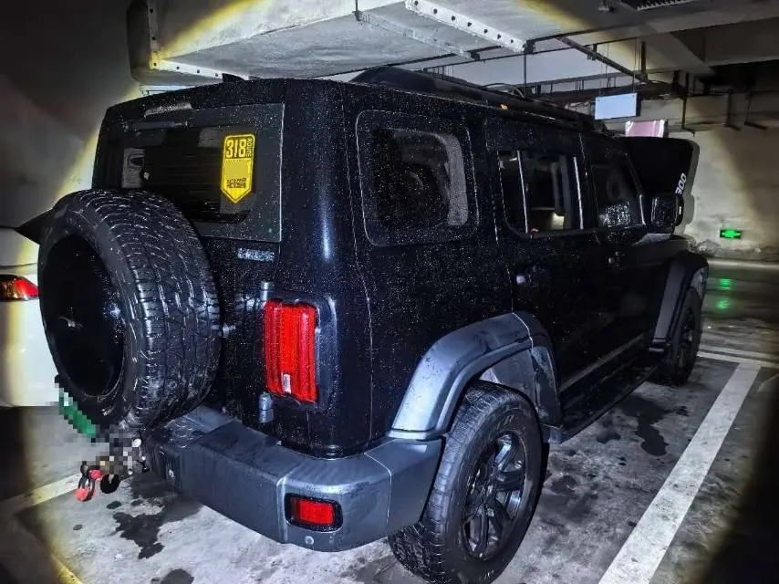 Tank 2021 Tank 300 2.0T Off-road Conqueror Automatic 2