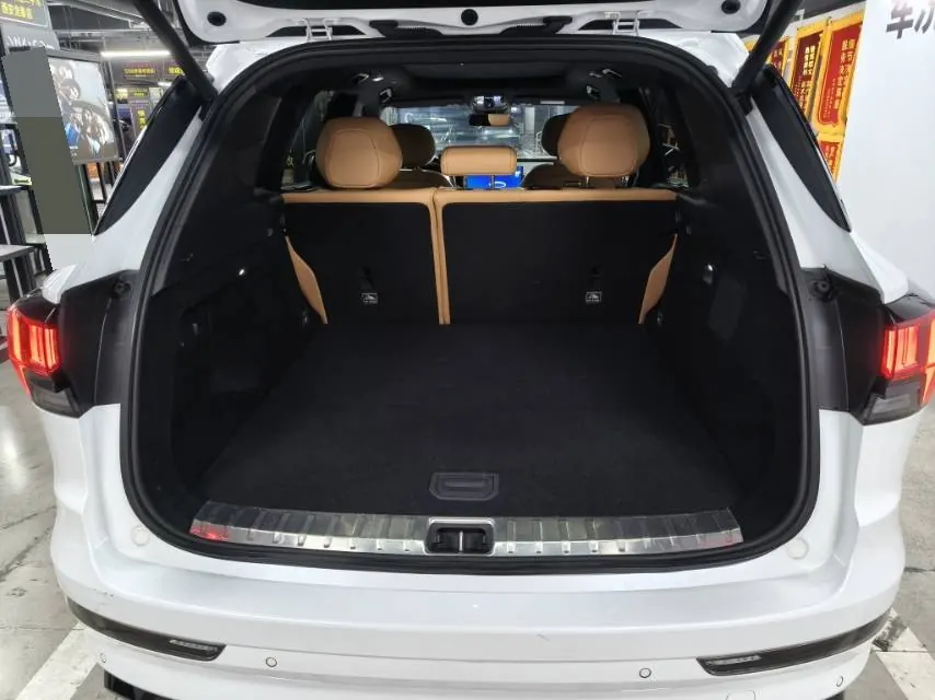LYNK&amp;CO 2025 LYNK&amp;CO 09 EM-P 2.0TD 4-wheel drive Max5 automatic gear 8