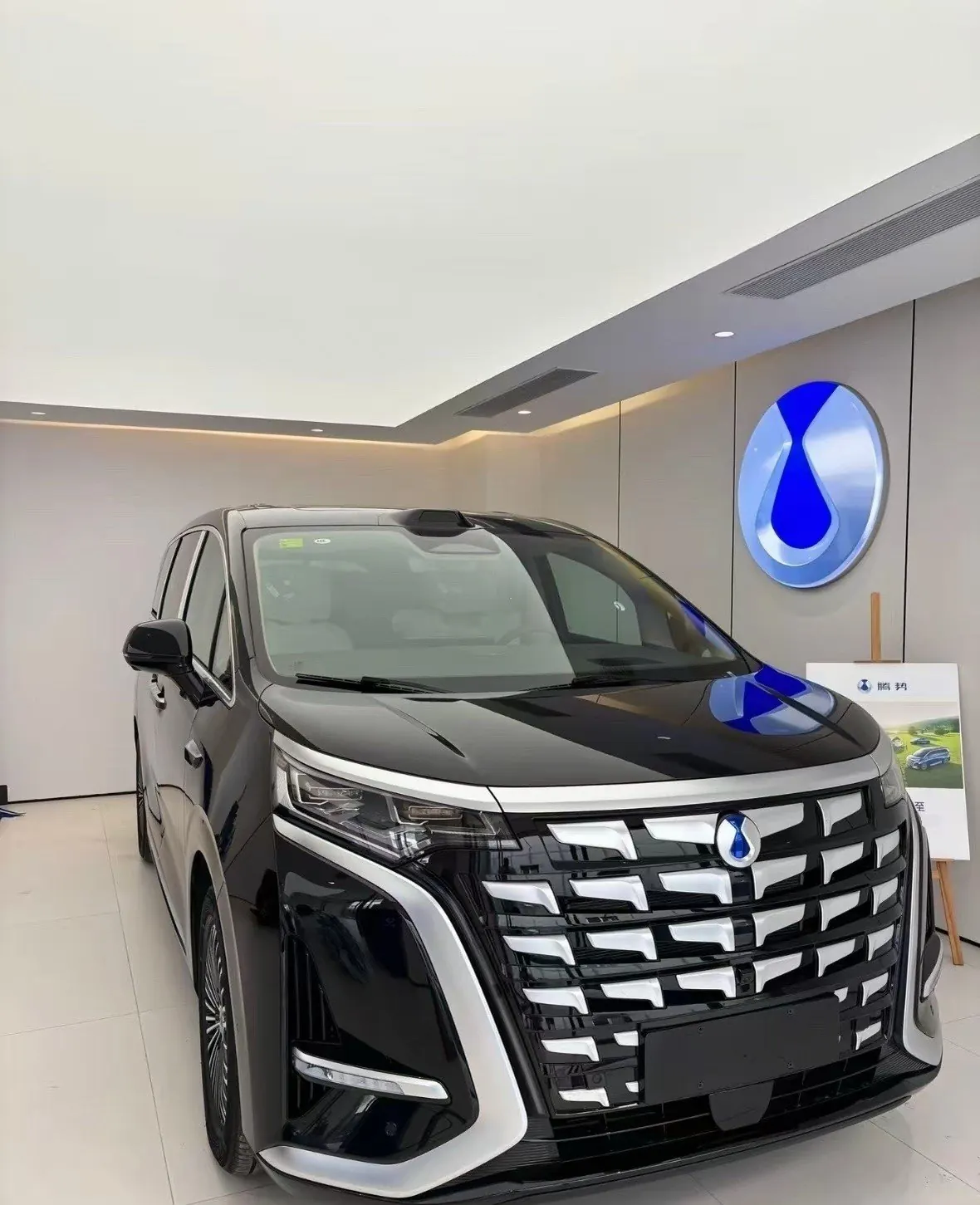 Denza 2026 Denza D9 DM-i 1.5T stepless four-wheel drive flash charging noble automatic gear 2