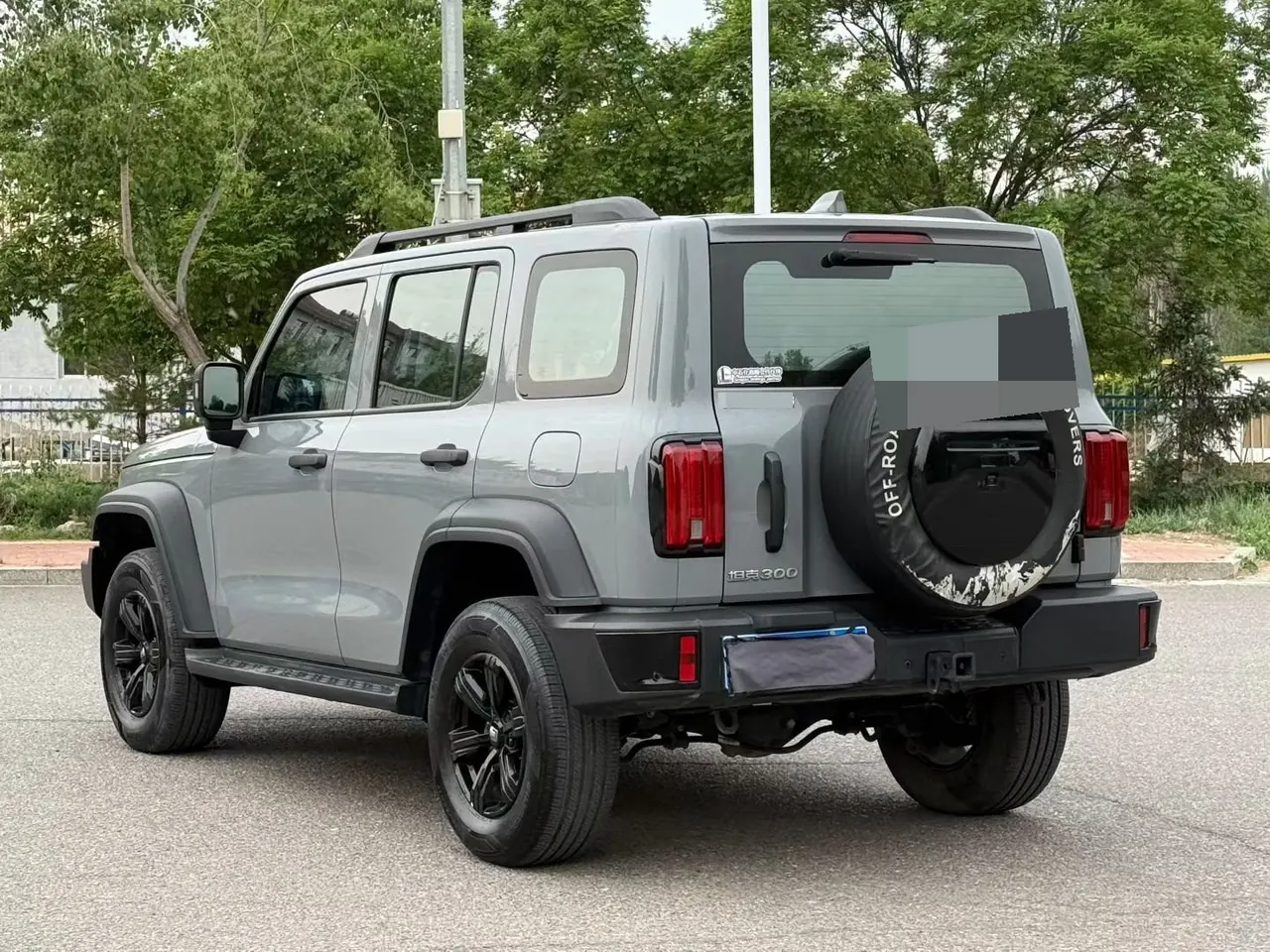 Tank 2023 Tank 300 2.0T Off-road Conqueror Automatic 5