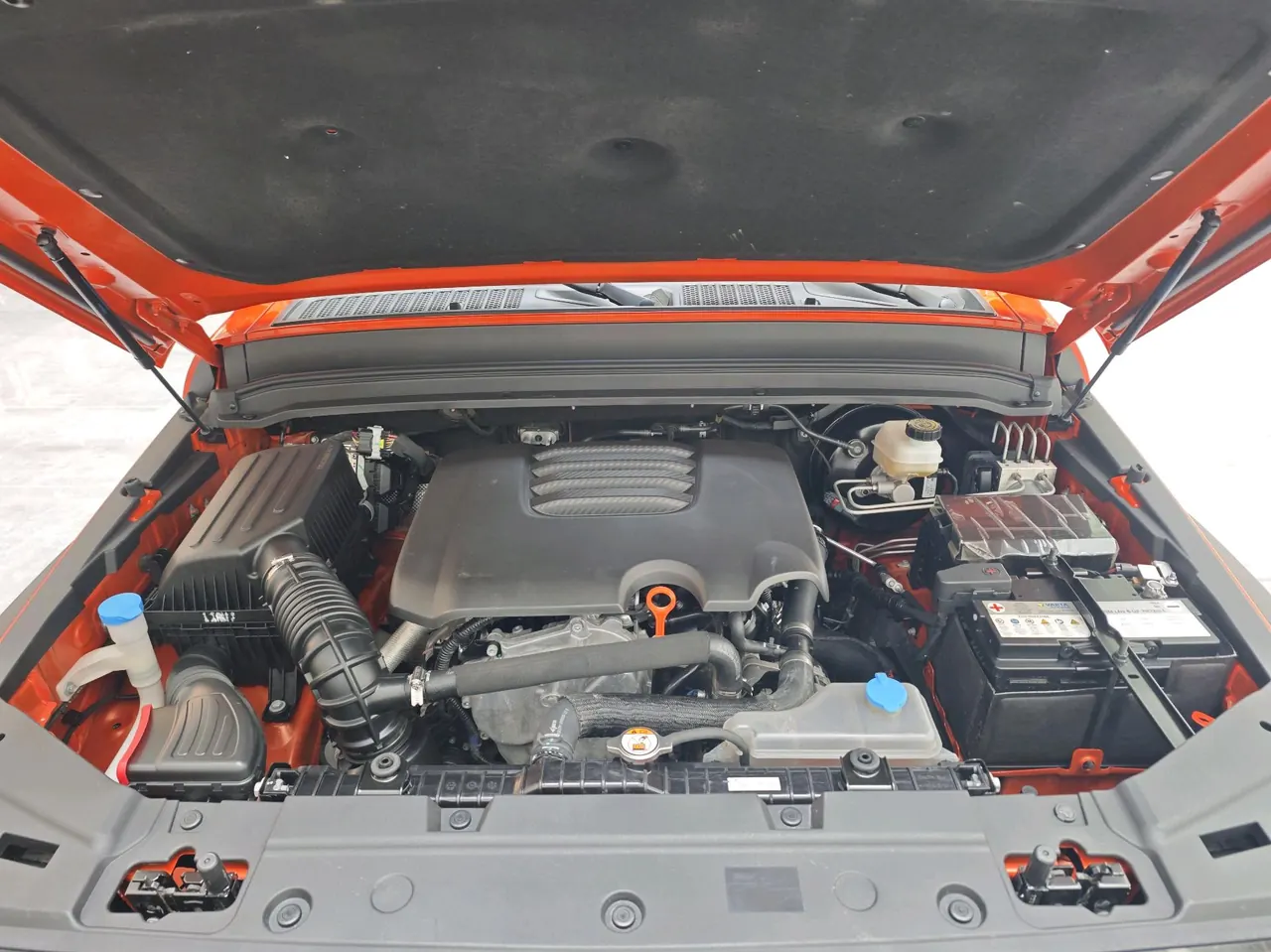 Tank 2023 Tank 300 2.0T Off-road Conqueror Automatic 7