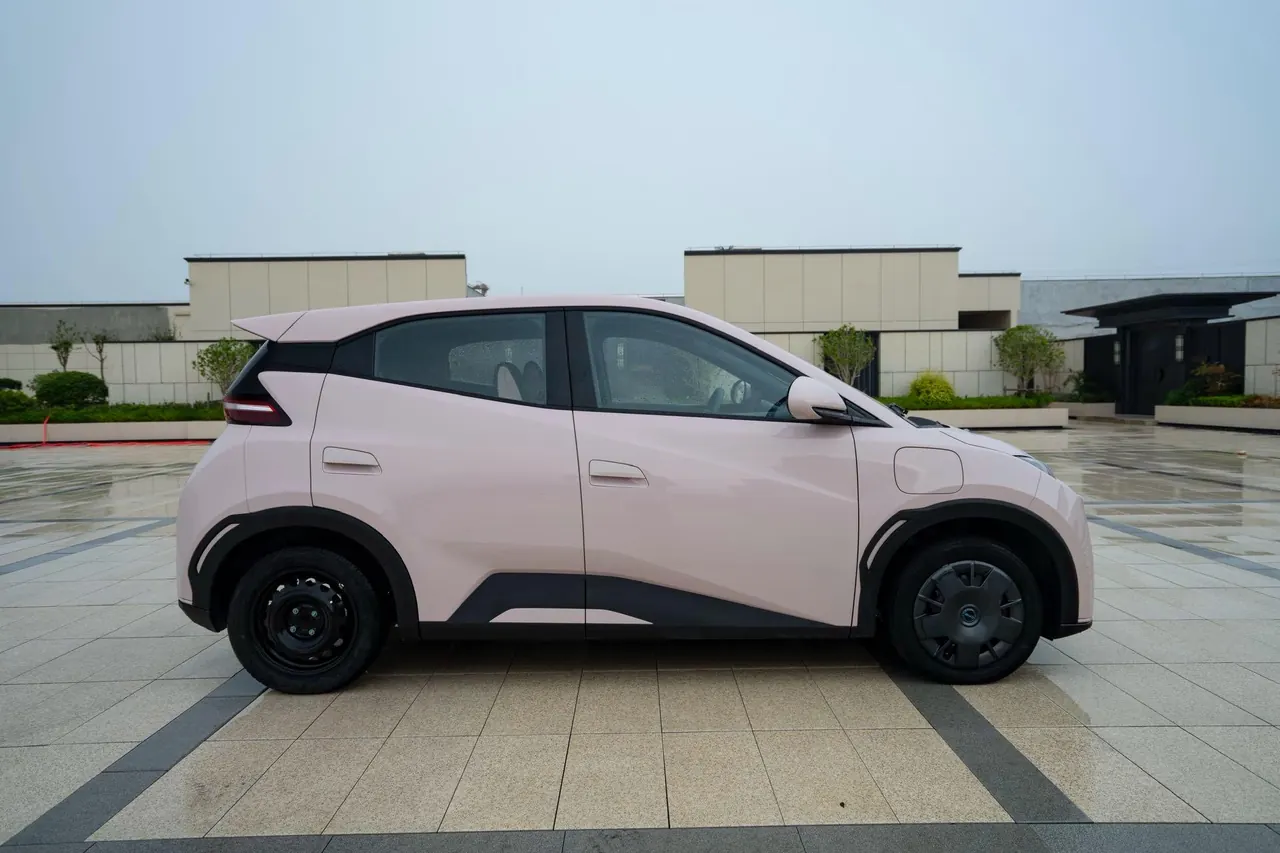 BYD 2025 seagulls 305km free version automatic gear 10