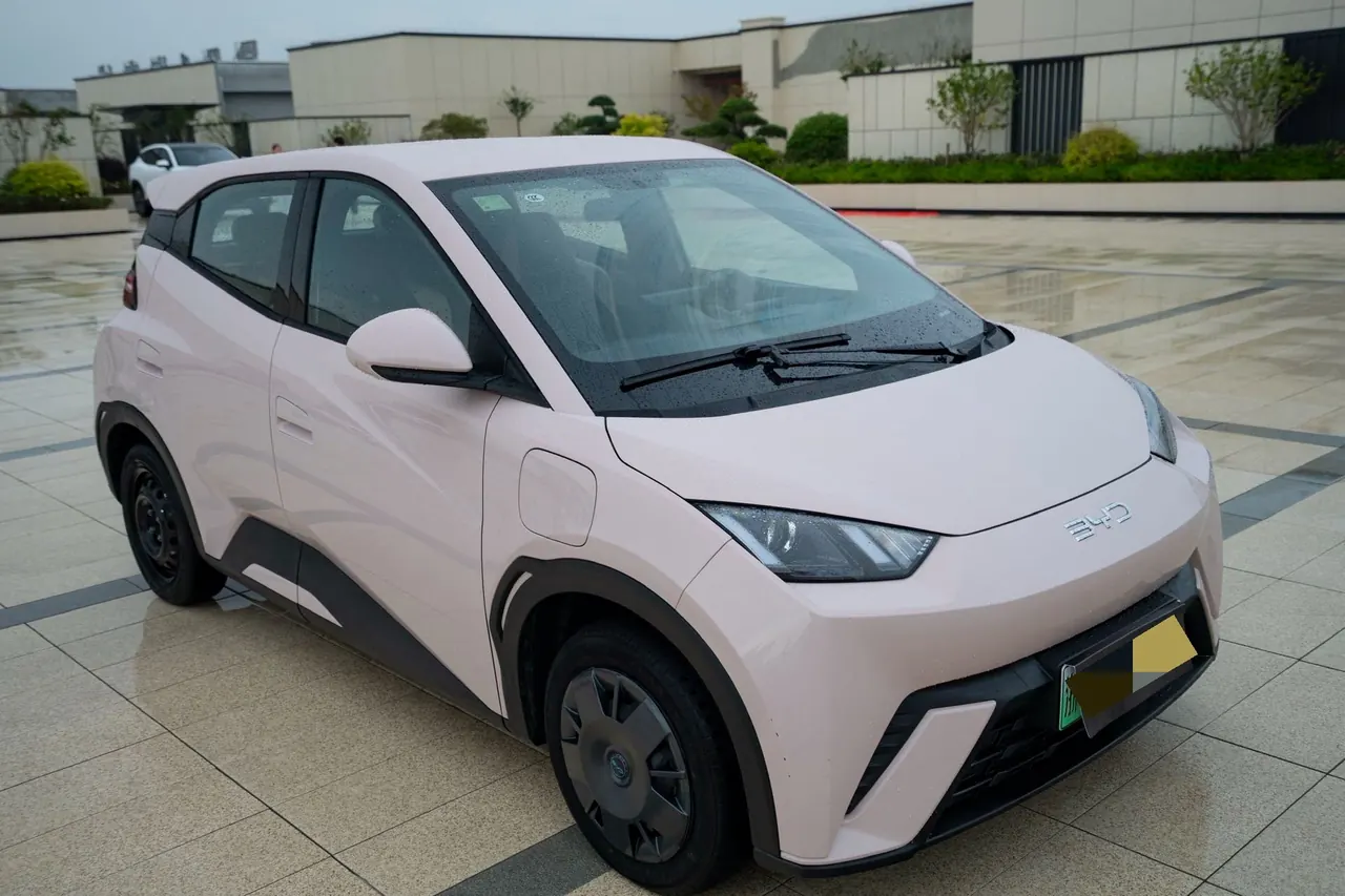 BYD 2025 seagulls 305km free version automatic gear 11