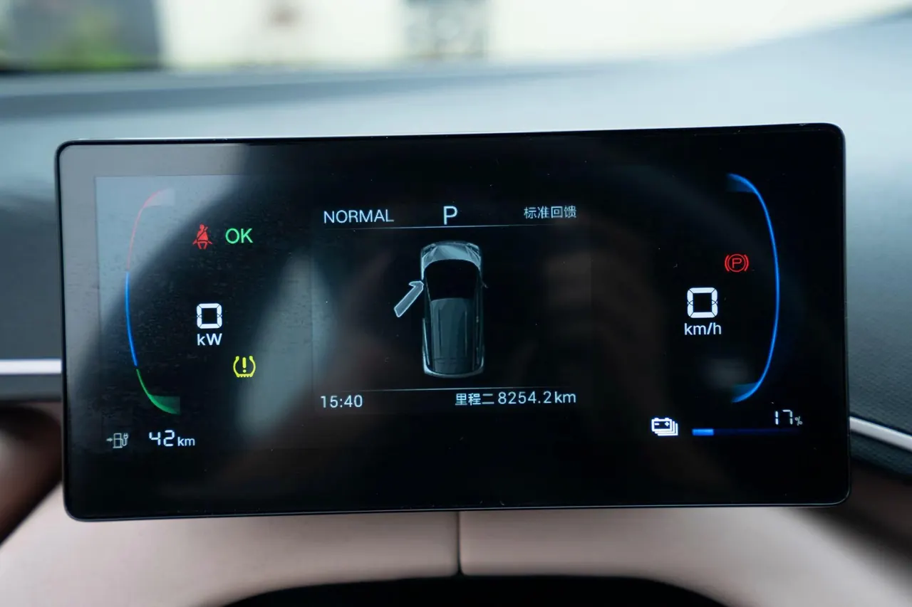 BYD 2025 seagulls 305km free version automatic gear 19