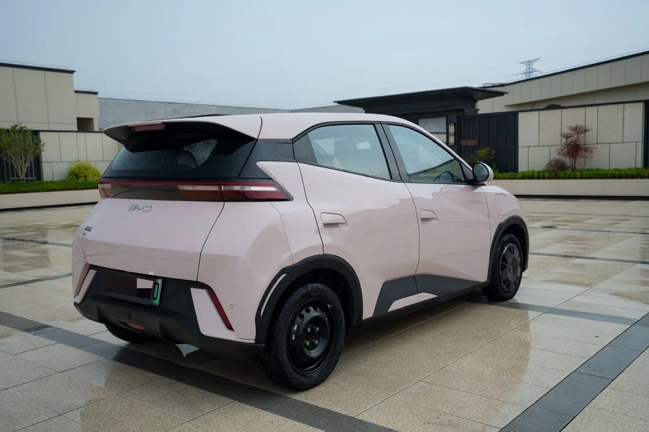 BYD 2025 seagulls 305km free version automatic gear 9