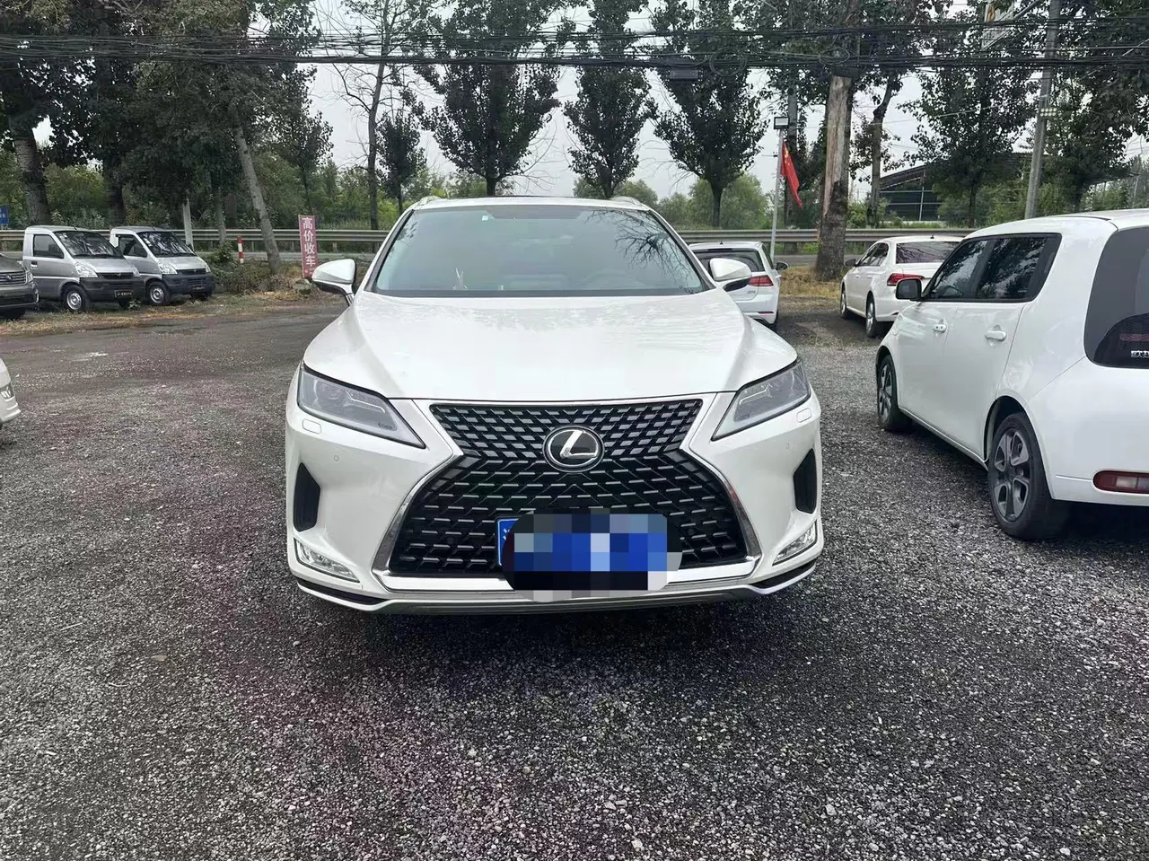 Lexus RX (Imported) 2020 RX300 2.0T Two-Drive Elite Edition (Revised) Automatic Gear 3