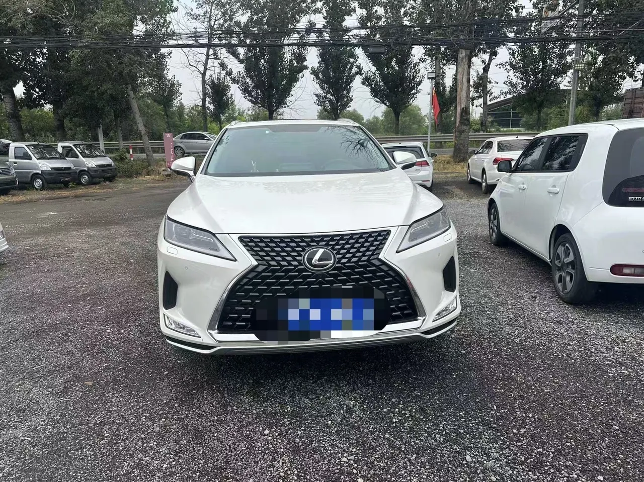 Lexus RX (Imported) 2020 RX300 2.0T Two-Drive Elite Edition (Revised) Automatic Gear 6