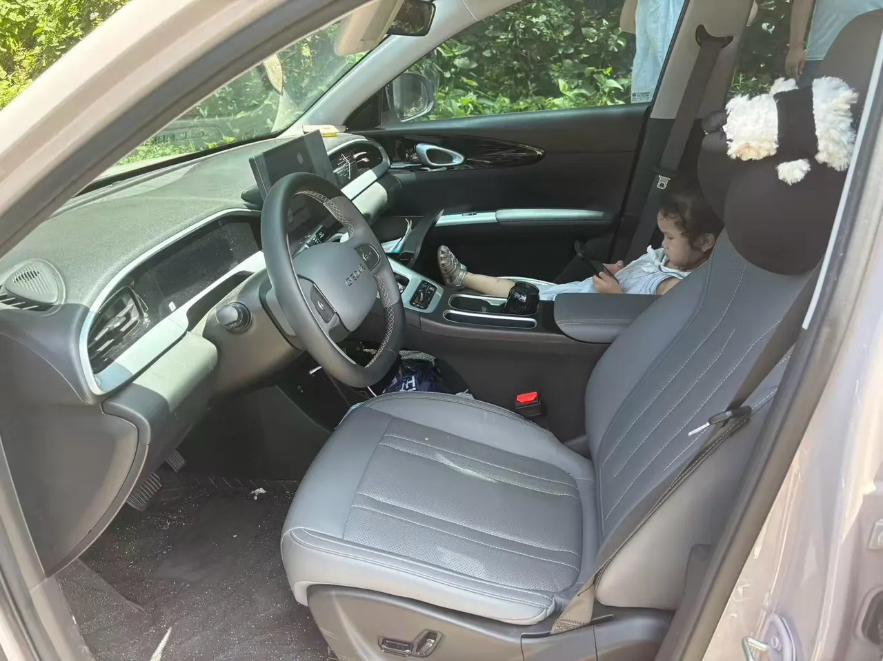 Geely 2026 Star Wish 310km Dream Edition Automatic Gear 3