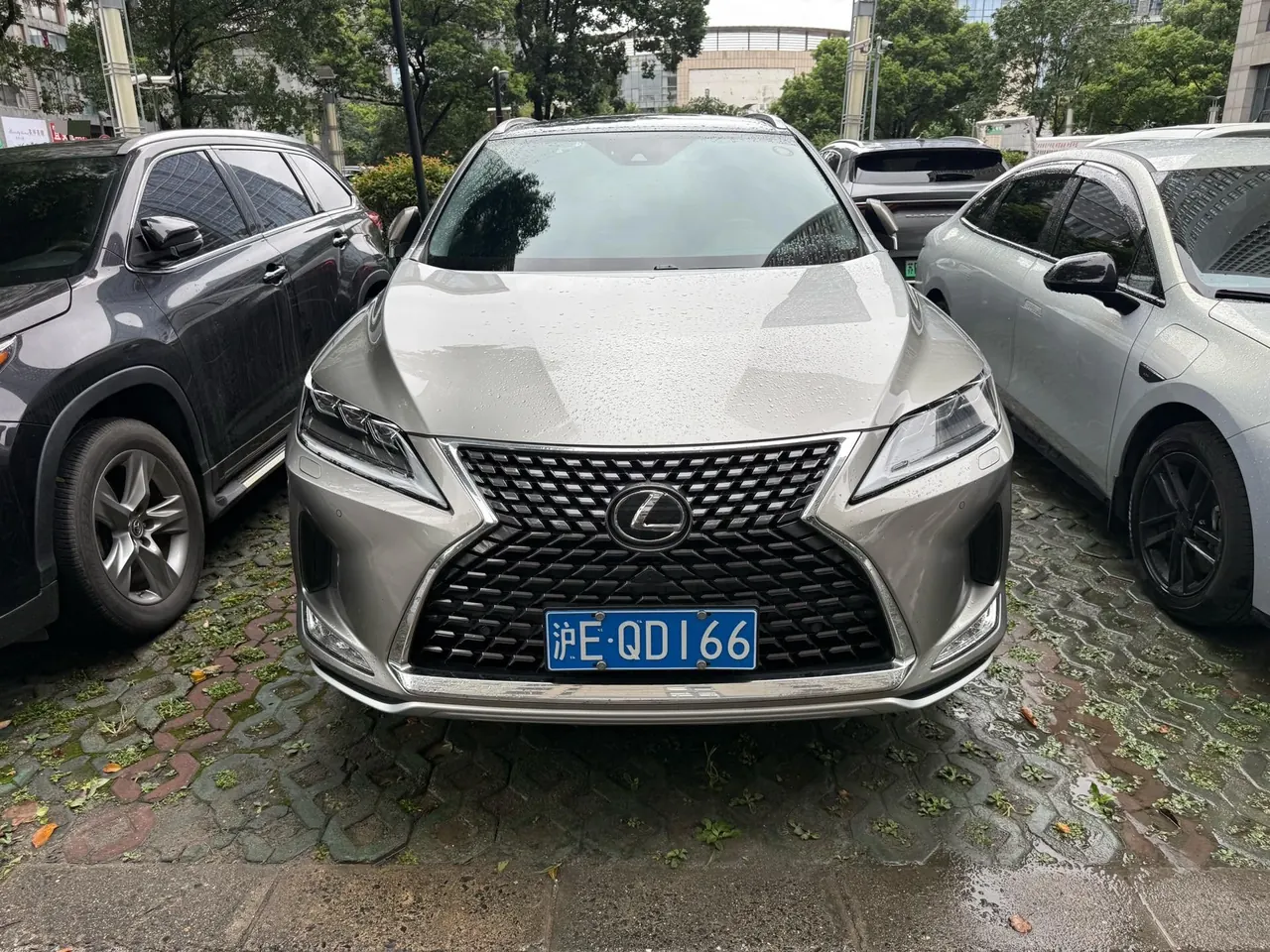 Lexus RX (Imported) 2020 RX300 2.0T Four-wheel Drive Elegant Edition (Modified) Automatic Gear 4