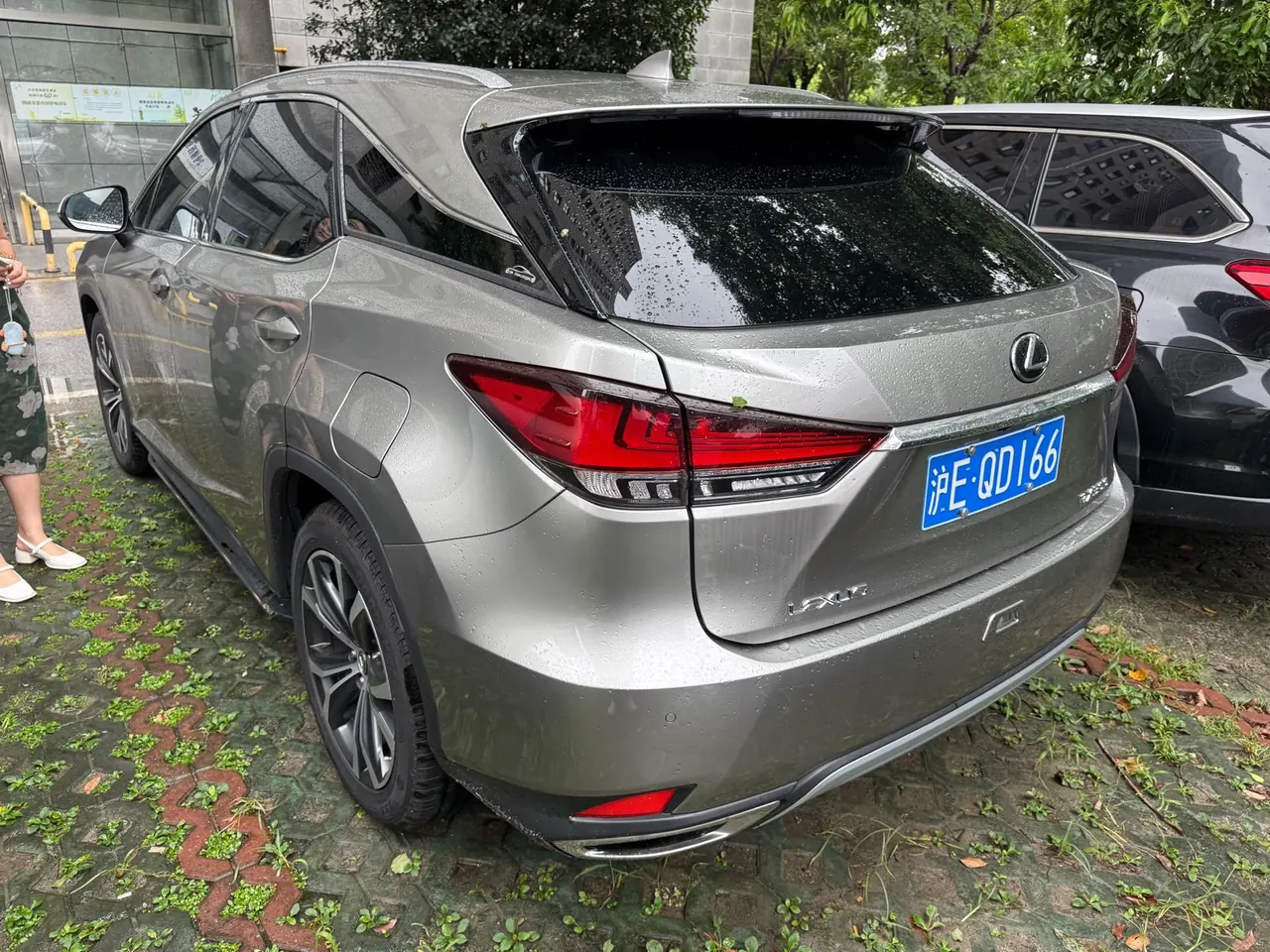 Lexus RX (Imported) 2020 RX300 2.0T Four-wheel Drive Elegant Edition (Modified) Automatic Gear 7