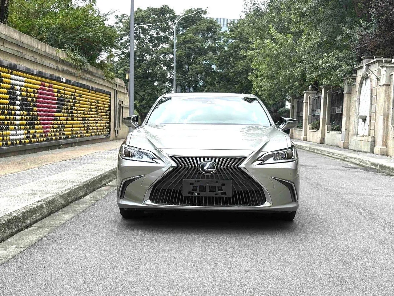 Lexus ES (Imported) 2020 ES200 2.0 Stepless Deluxe Edition Automatic Gear 5