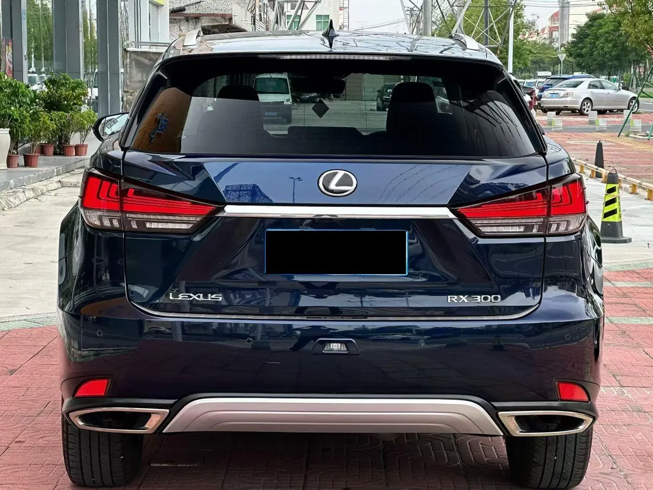 Lexus RX (Imported) 2020 RX300 2.0T Four-wheel Drive Deluxe Edition (Modified) Automatic Gear 3