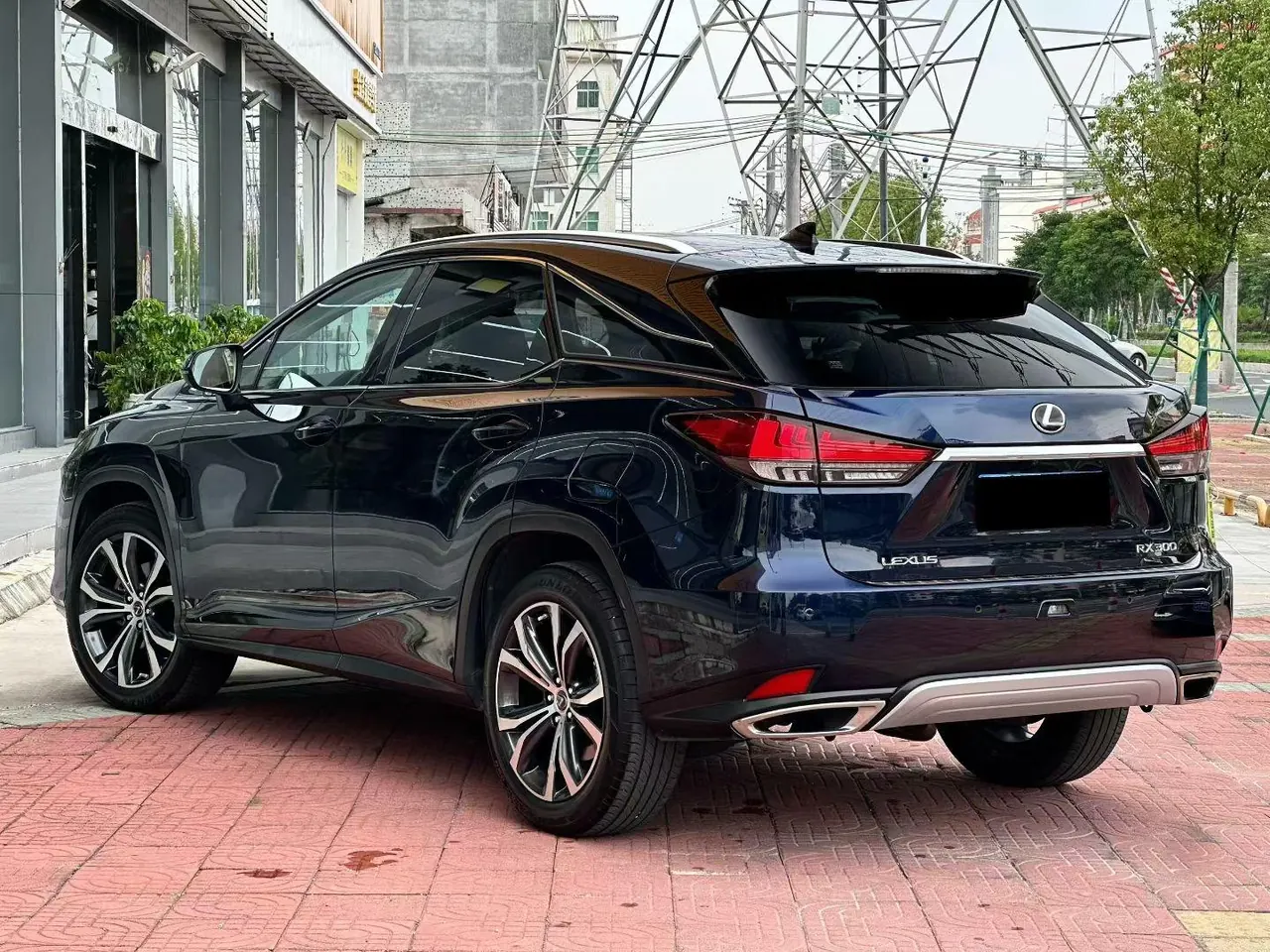 Lexus RX (Imported) 2020 RX300 2.0T Four-wheel Drive Deluxe Edition (Modified) Automatic Gear 4