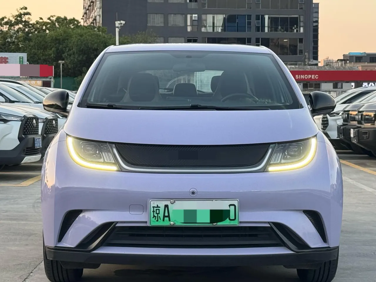 BYD 2023 Dolphins 420km Free Edition Automatic 2