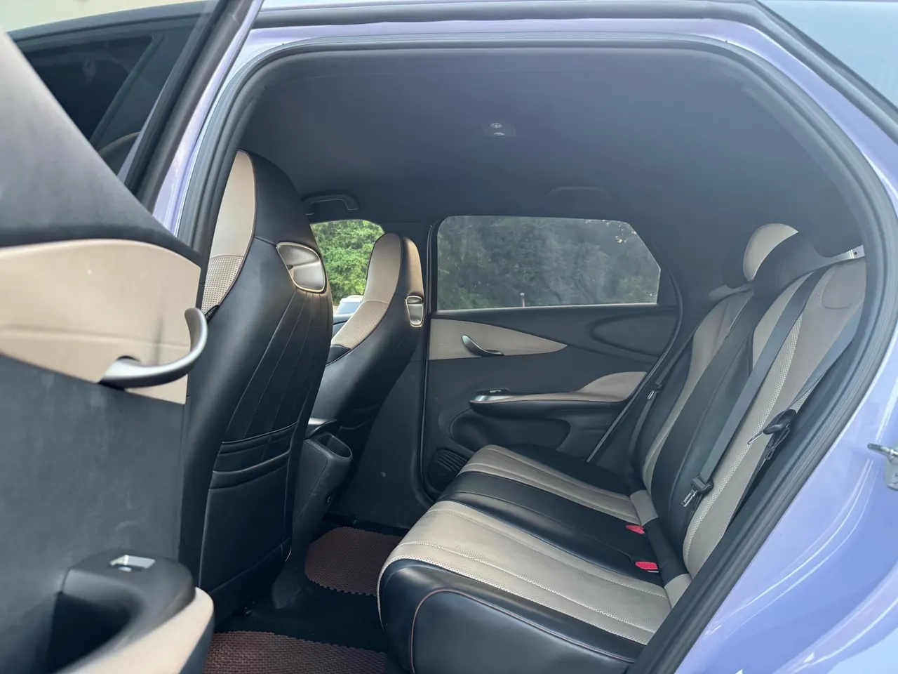 BYD 2023 Dolphins 420km Free Edition Automatic 6