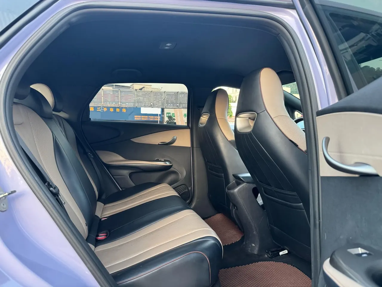 BYD 2023 Dolphins 420km Free Edition Automatic 8