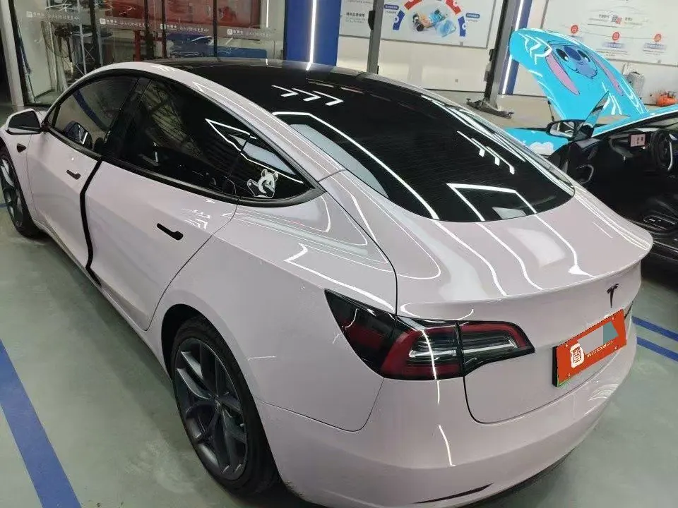 Tesla 2021 Model 3 Standard Endurance Rear Drive Upgraded Automatic Gear 3