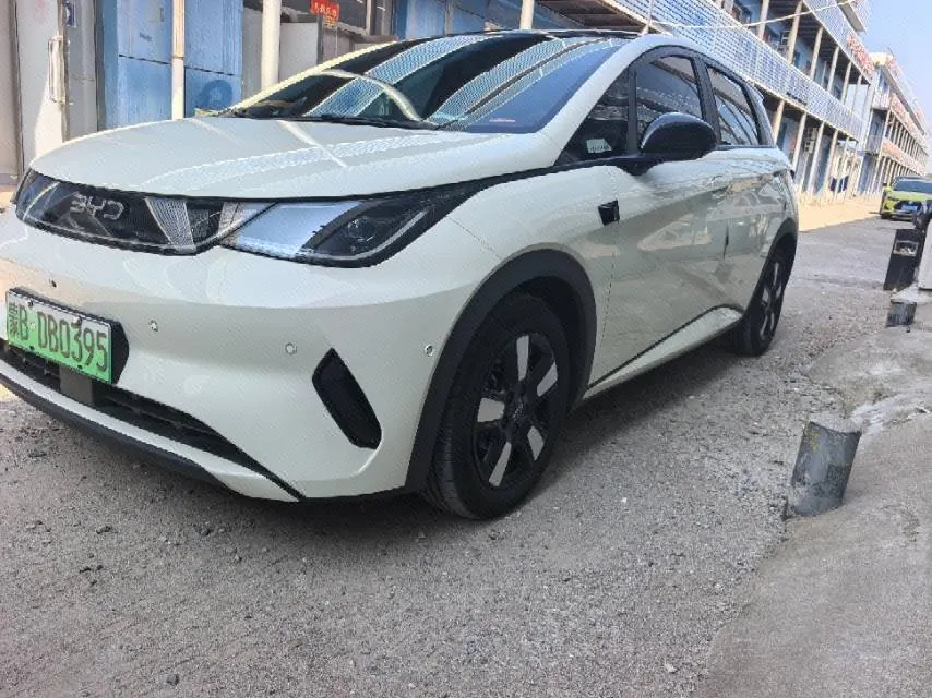 Open image lightbox: BYD 2025 Dolphin Smart Driving 410km Fashion Automatic Gear