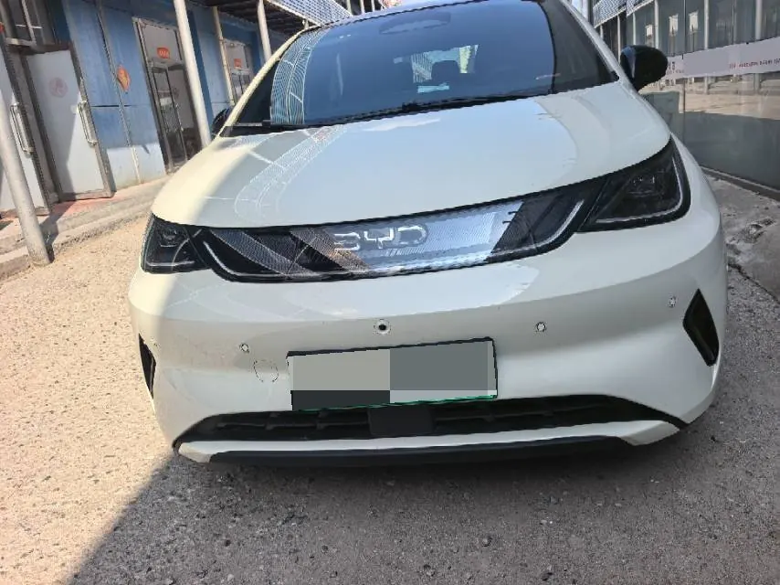 BYD 2025 Dolphin Smart Driving 410km Fashion Automatic Gear 2