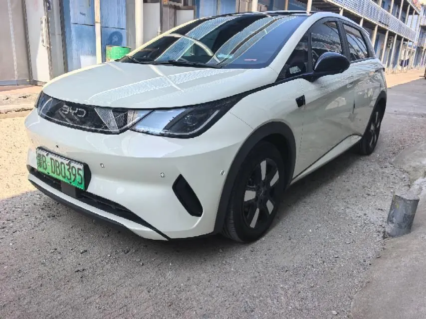 BYD 2025 Dolphin Smart Driving 410km Fashion Automatic Gear 3