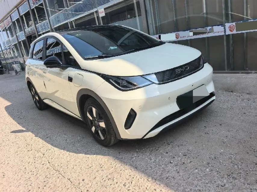 BYD 2025 Dolphin Smart Driving 410km Fashion Automatic Gear 4