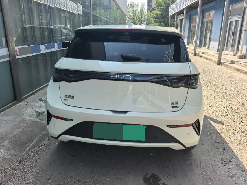 BYD 2025 Dolphin Smart Driving 410km Fashion Automatic Gear 7