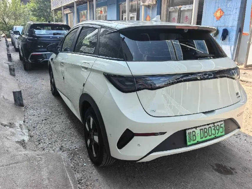 BYD 2025 Dolphin Smart Driving 410km Fashion Automatic Gear 8