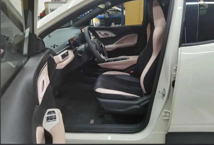 BYD 2025 seagulls 305km dynamic version of automatic gear 4