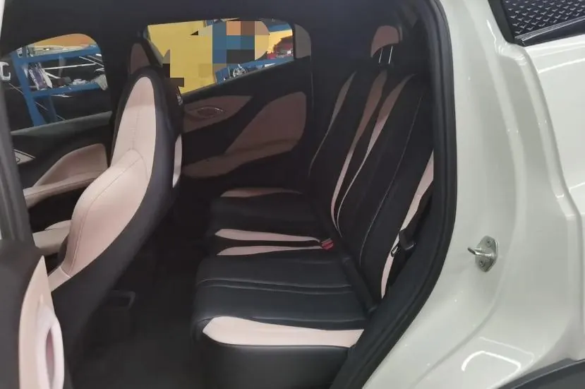 BYD 2025 seagulls 305km dynamic version of automatic gear 5