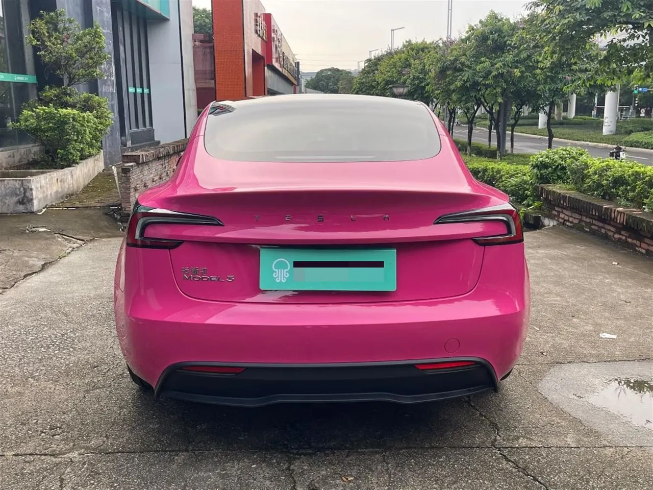 Tesla 2023 Model 3 Rejuvenation Edition Rear Wheel Drive Automatic Transmission 7