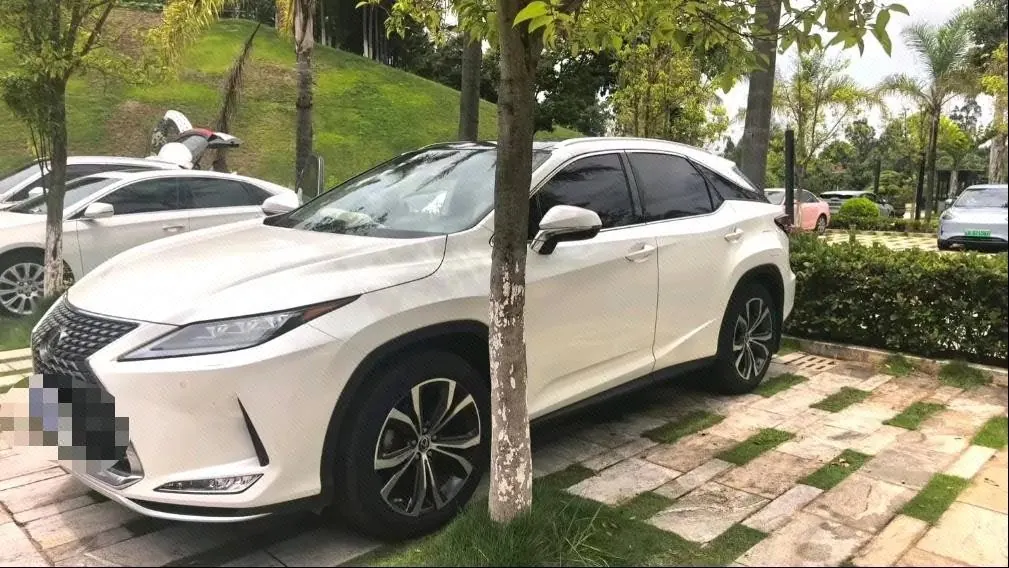 打开图片灯箱:Lexus RX (Imported) 2020 RX300 2.0T Four-wheel Drive Elegant Edition (Modified) Automatic Gear