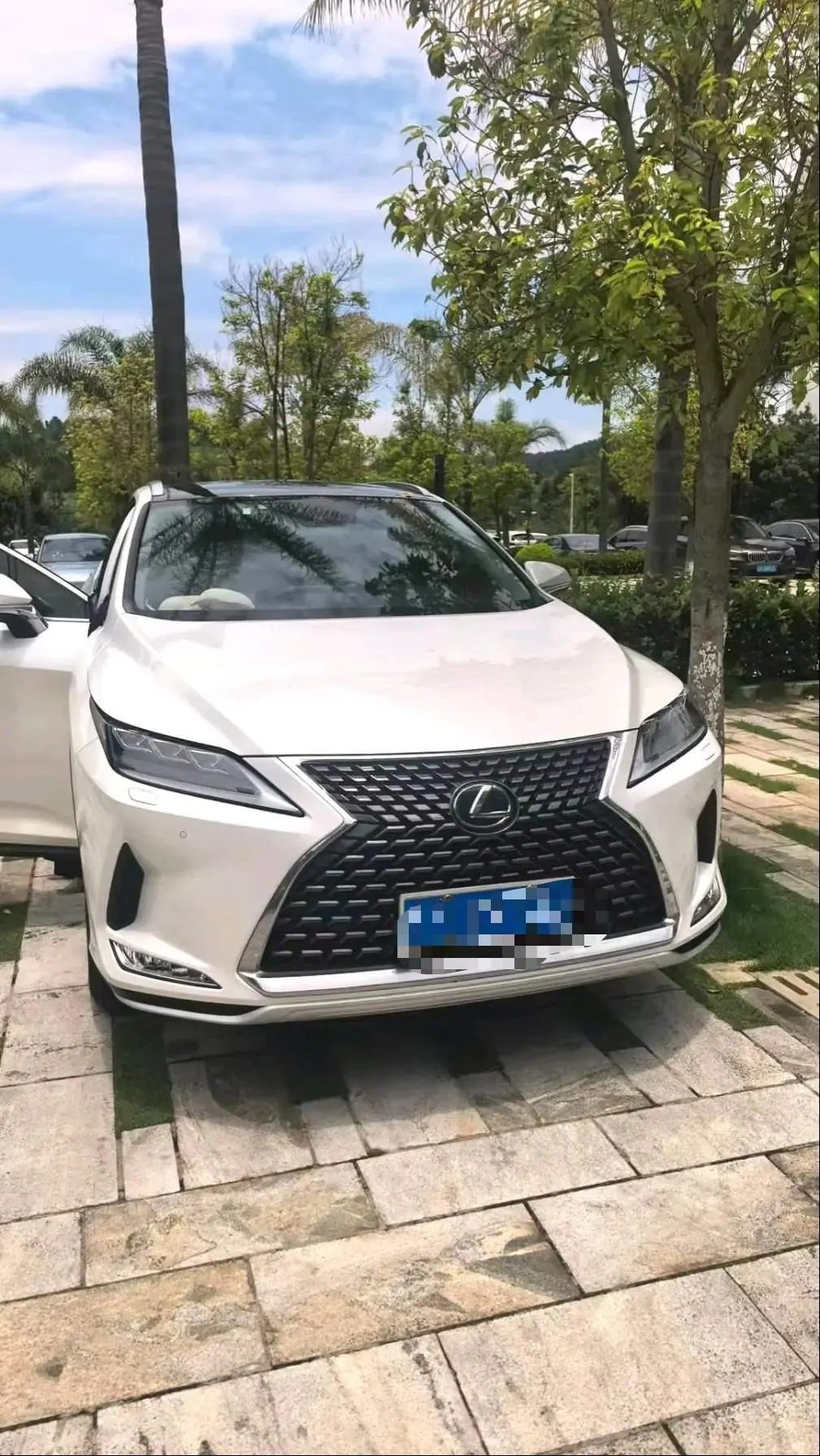 Lexus RX (Imported) 2020 RX300 2.0T Four-wheel Drive Elegant Edition (Modified) Automatic Gear 2