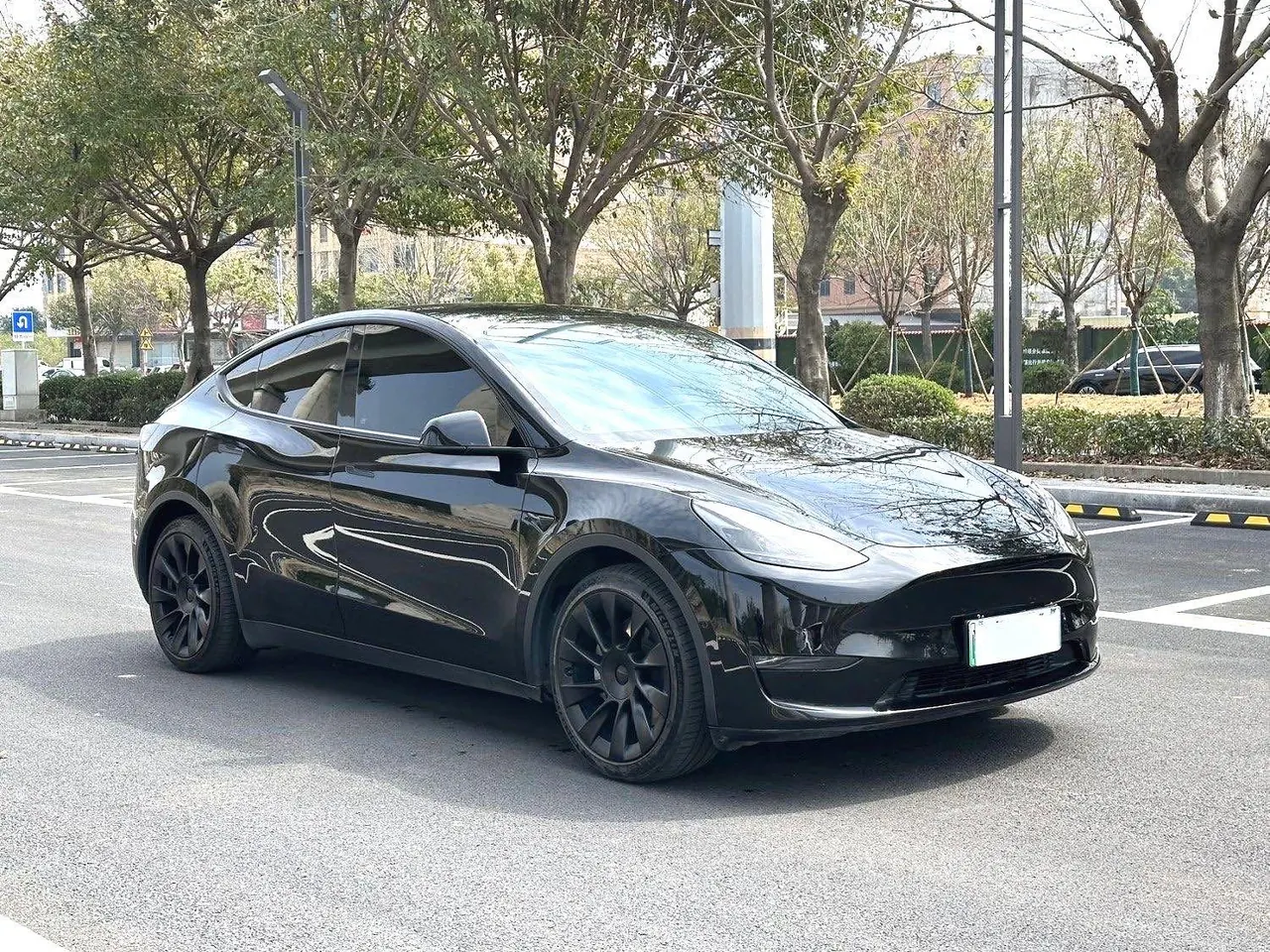 Tesla 2021 Model Y Standard Endurance Rear Drive Automatic Gear 3