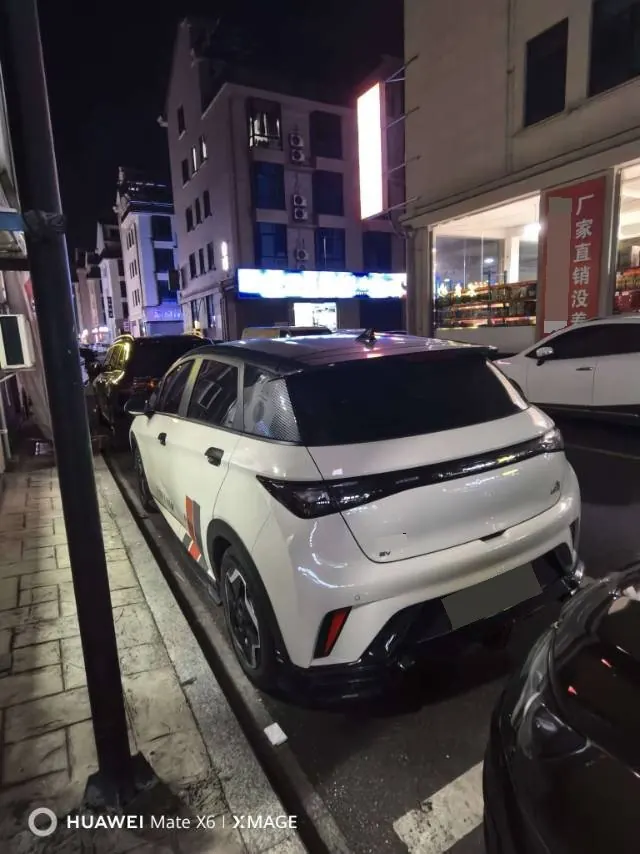 BYD 2025 Dolphin 420km Vital Edition Automatic Gear 2