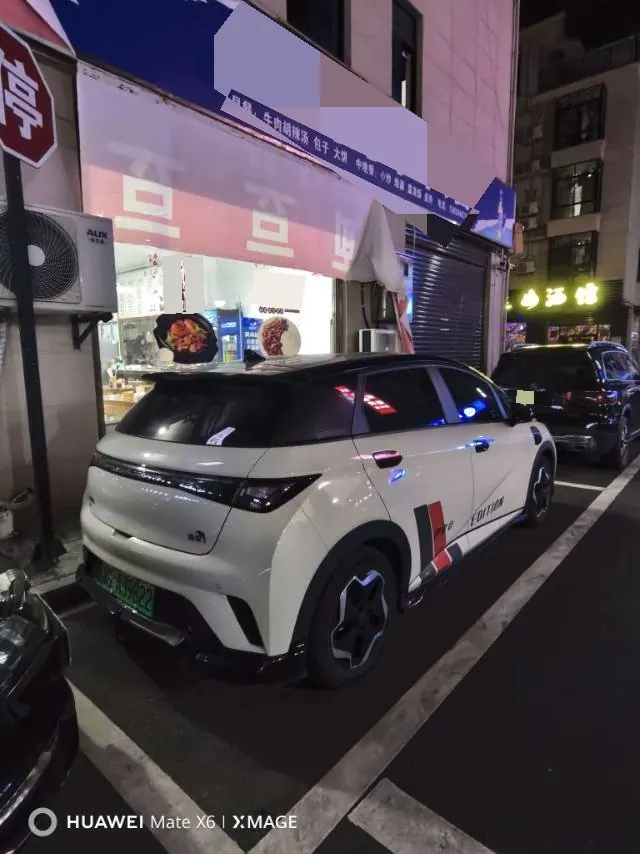 BYD 2025 Dolphin 420km Vital Edition Automatic Gear 3