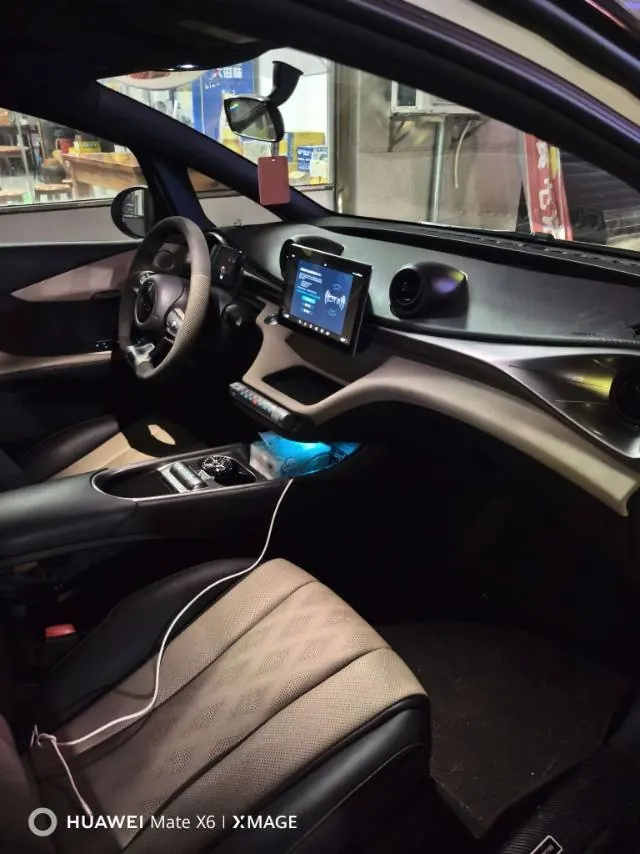 BYD 2025 Dolphin 420km Vital Edition Automatic Gear 4