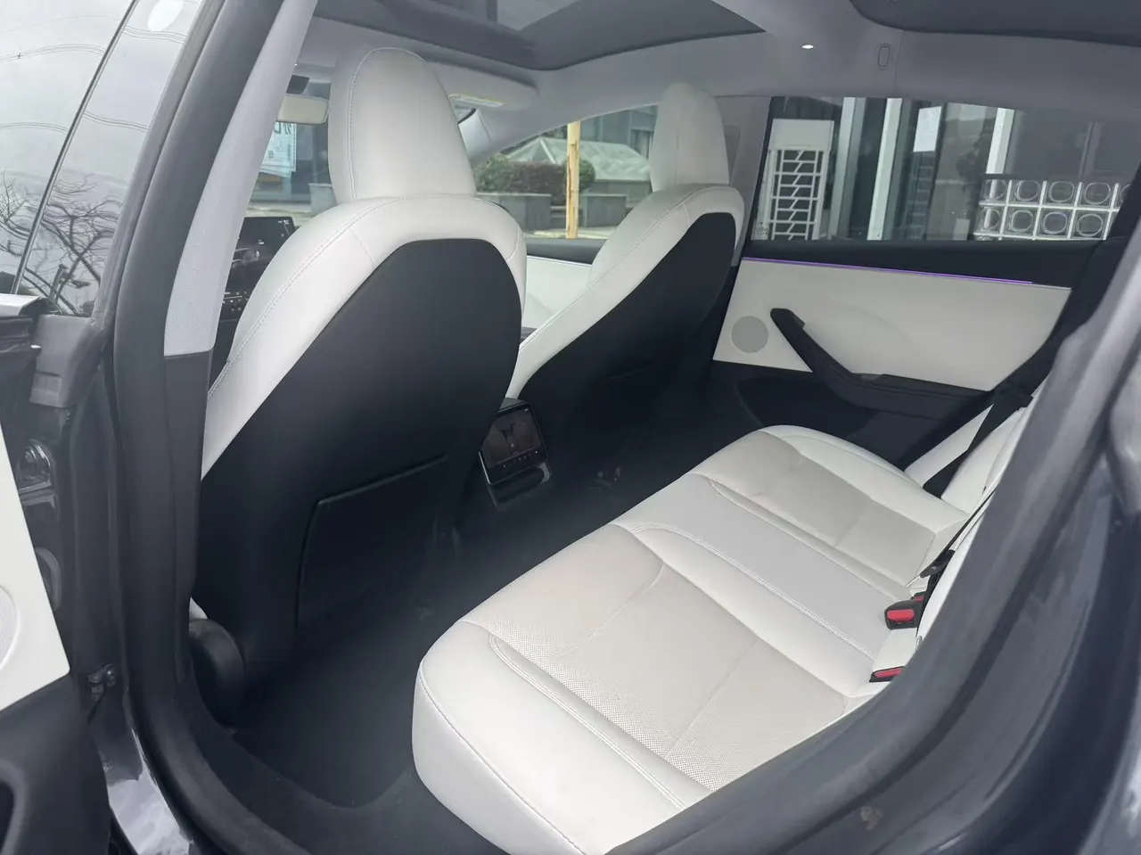 Tesla 2023 Model 3 Rejuvenation Edition Rear Wheel Drive Automatic Transmission 7