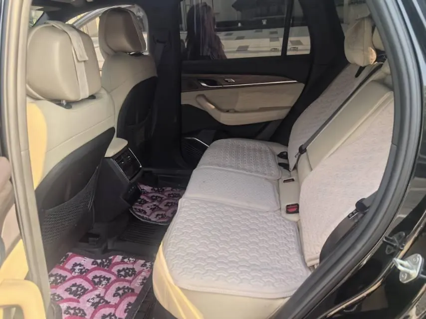 Geely 2025 XingyueL (Monjaro) 2.0TD Oriental Yao Star-Gazing Edition Automatic Transmission 6