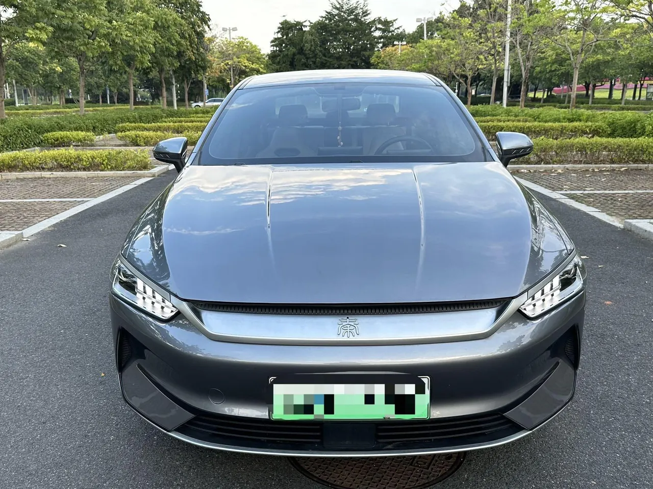 BYD 2023 Qin PLUS EV 510KM Champion Edition Leading Automatic Gear 13