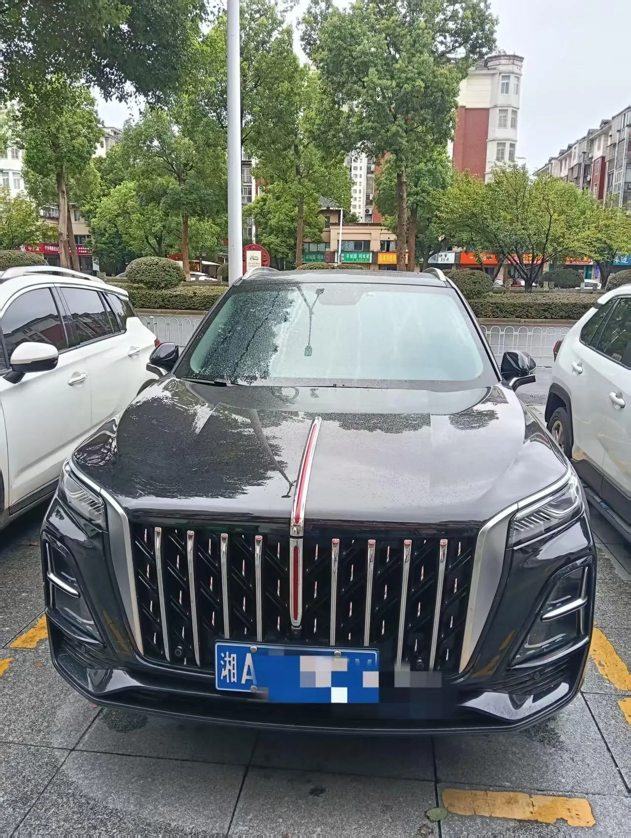 HongQi 2025 HS5 2.0T Two-Drive Flag Yue Pro Edition Automatic Gear 2