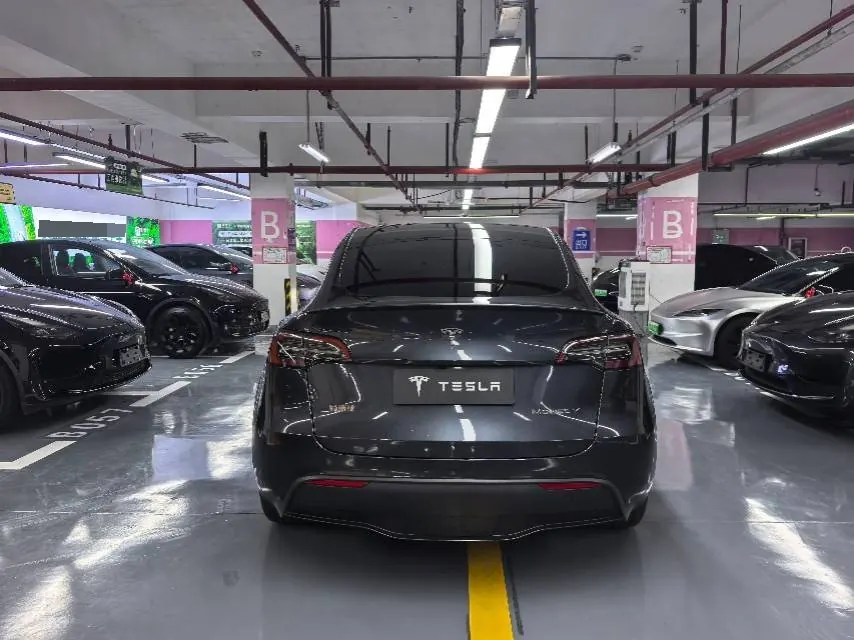 Tesla 2024 Model Y rear-wheel drive version automatic transmission 8